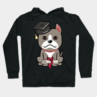 Cute grey dog is a graduate Hoodie